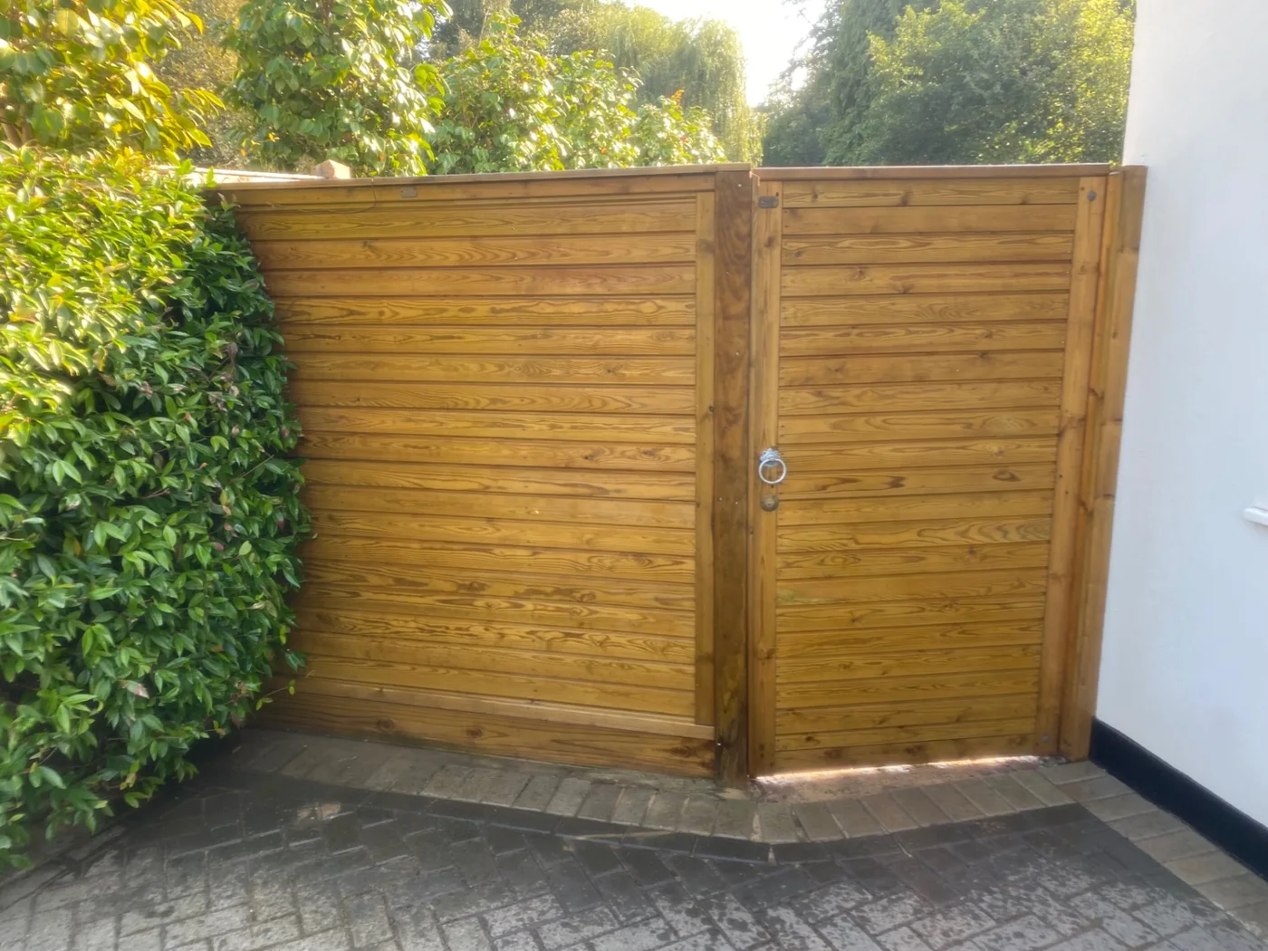 Trellis Fence in Walton-on-Thames